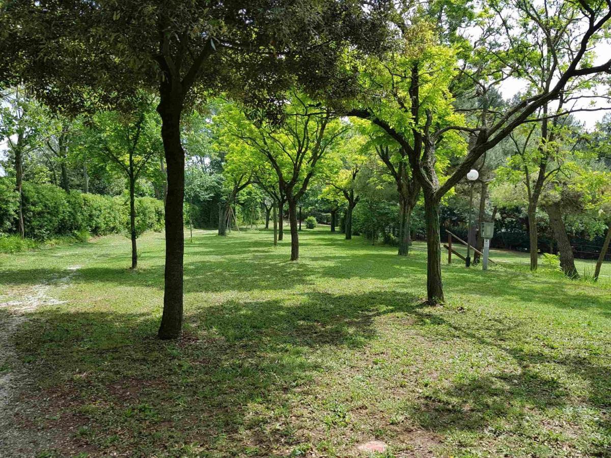 Camping Paradiso Pesaro Dış mekan fotoğraf
