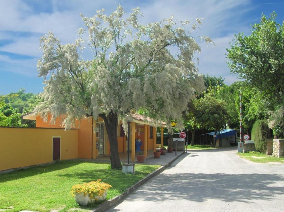 Camping Paradiso Pesaro Dış mekan fotoğraf