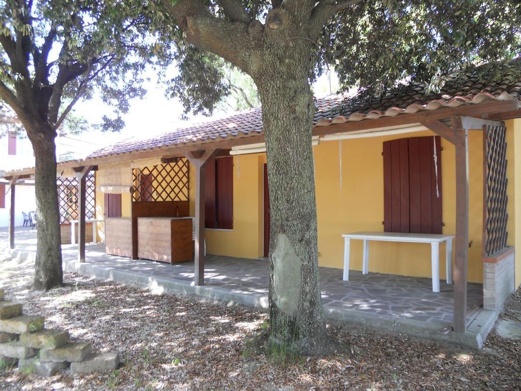 Camping Paradiso Pesaro Oda fotoğraf